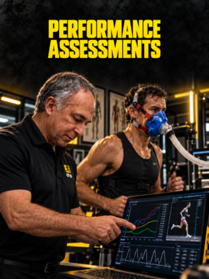 Performance Assessments